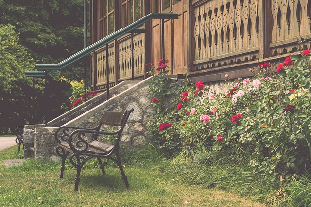 在这场比赛 在这场比赛