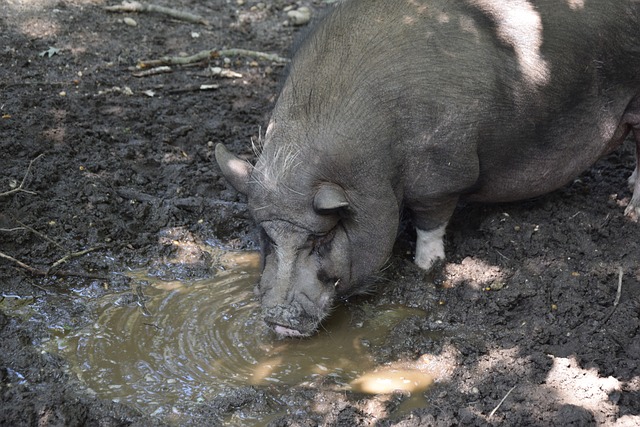他们相信只 他们相信只