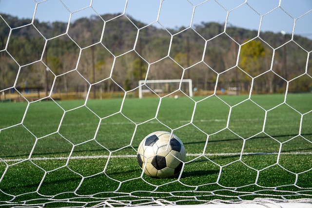 亲身见证菲 亲身见证菲